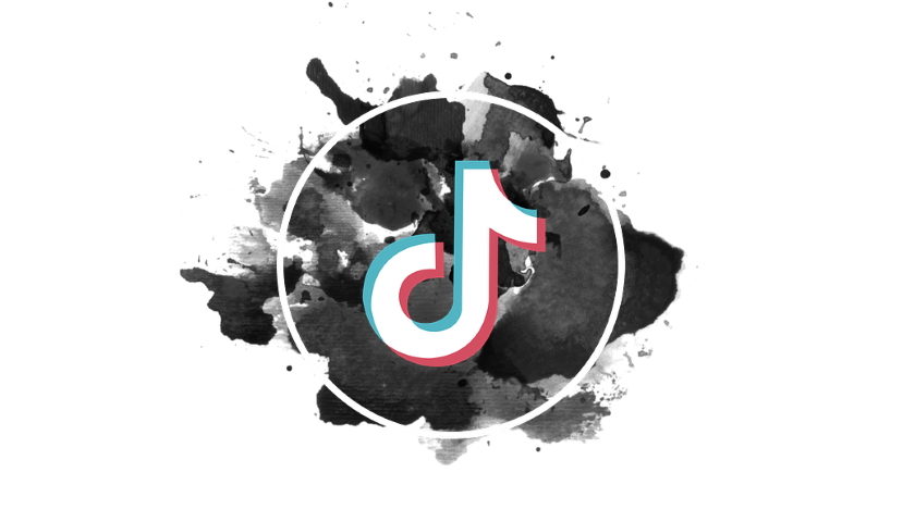 TikTok privacy data